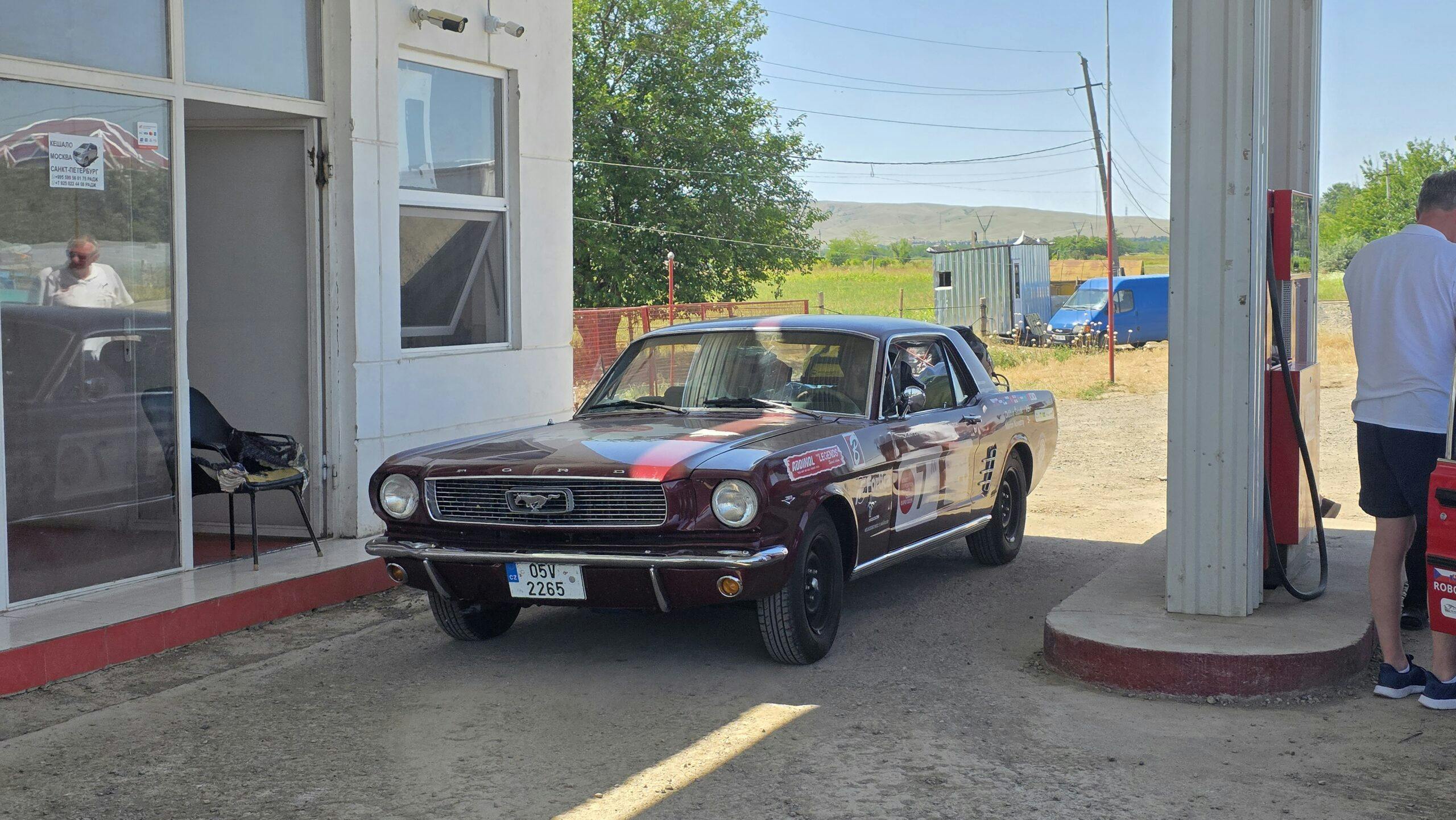 expedice robot mustang