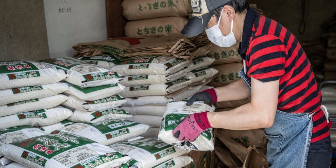 Trump wants Japan to import U.S. rice to cut trade deficit but consumers hate it Trump wants Japan to import U.S. rice to cut trade deficit but consumers hate it