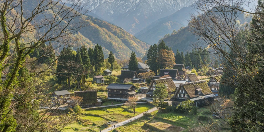 Preserved farmhouses and fields in Gokayama