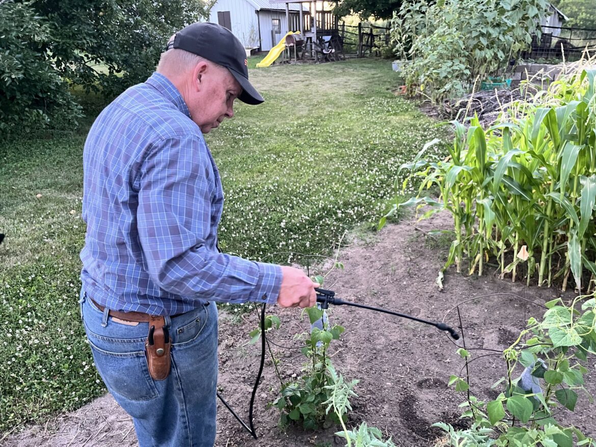 Getting rid of those pesky Japanese Beetles – Muddy River News Hort spraying