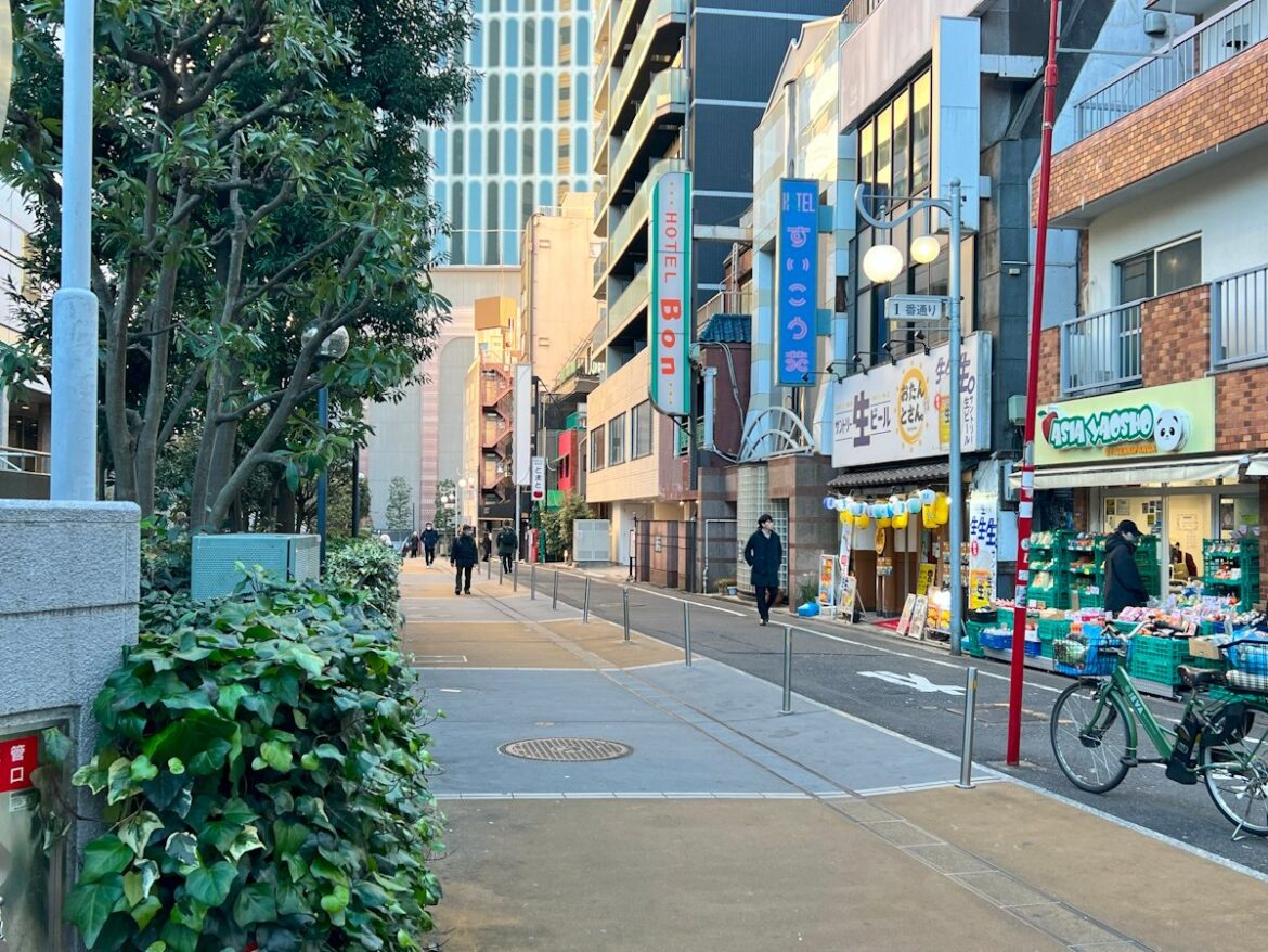 Has Tokyo’s Prostitution Alley Become a Tourist Destination? Area near Okubo Park frequently used for prostitution in the evening
