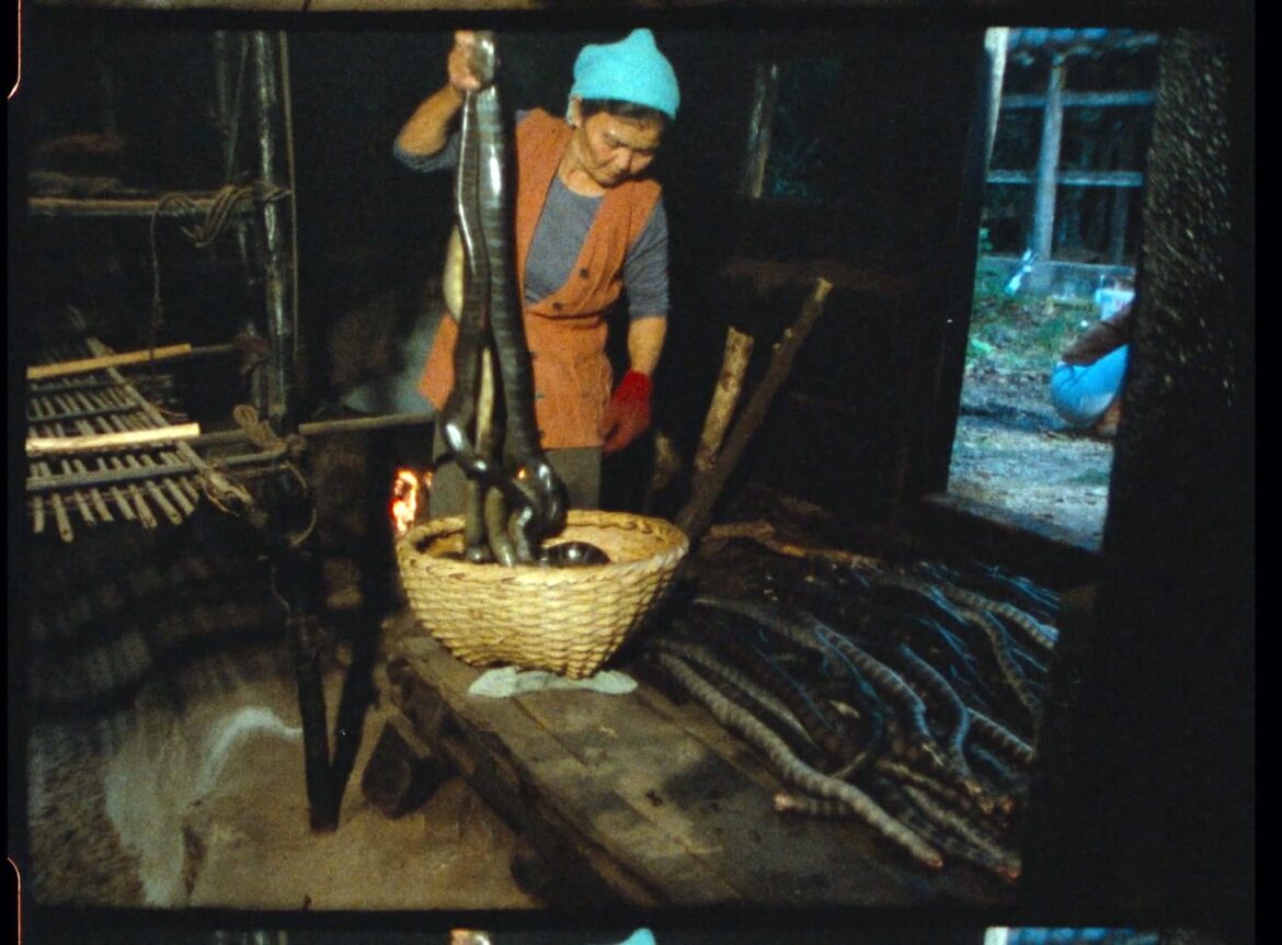 IRABU of the Kudaka Island, Okinawa still