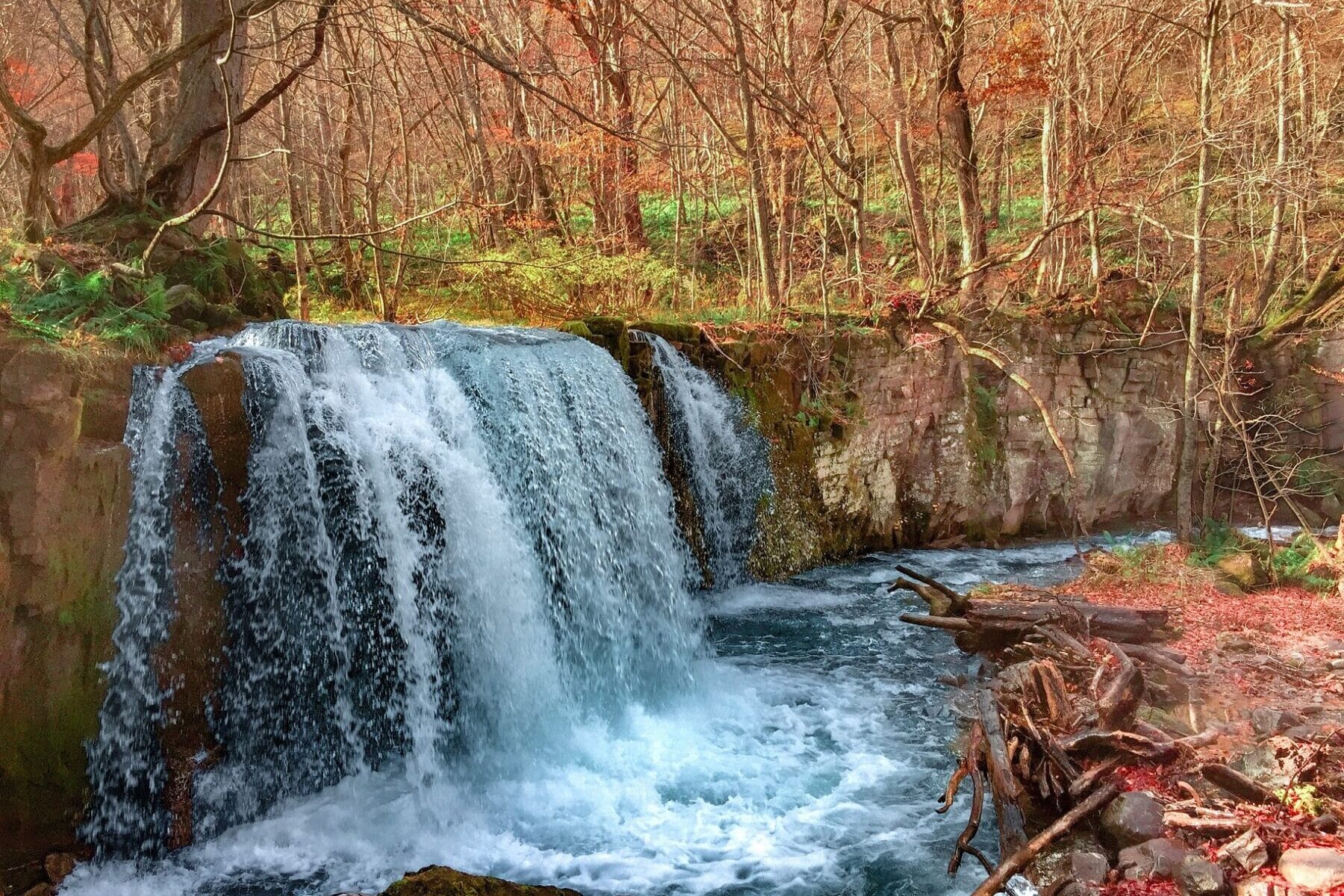 Oirase Stream - Aomori, Japan.