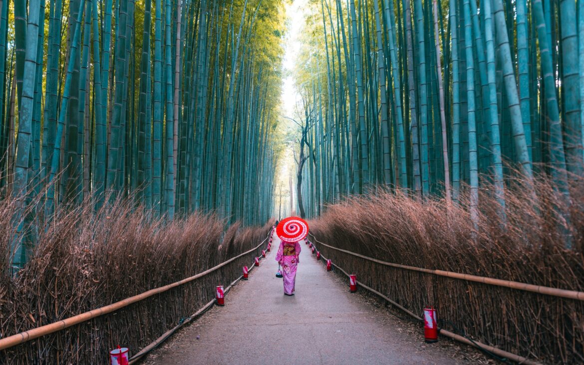 Tourist Tax-Free Spending Drops: Concerns for Japan Retail Japan Retail