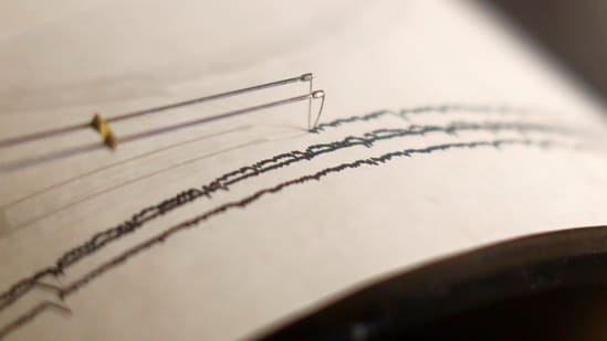 The quake hit at a depth of 20 km (12 miles), giving it a seismic intensity of '6 lower' on Japan's 1-7 scale.(Representational)
