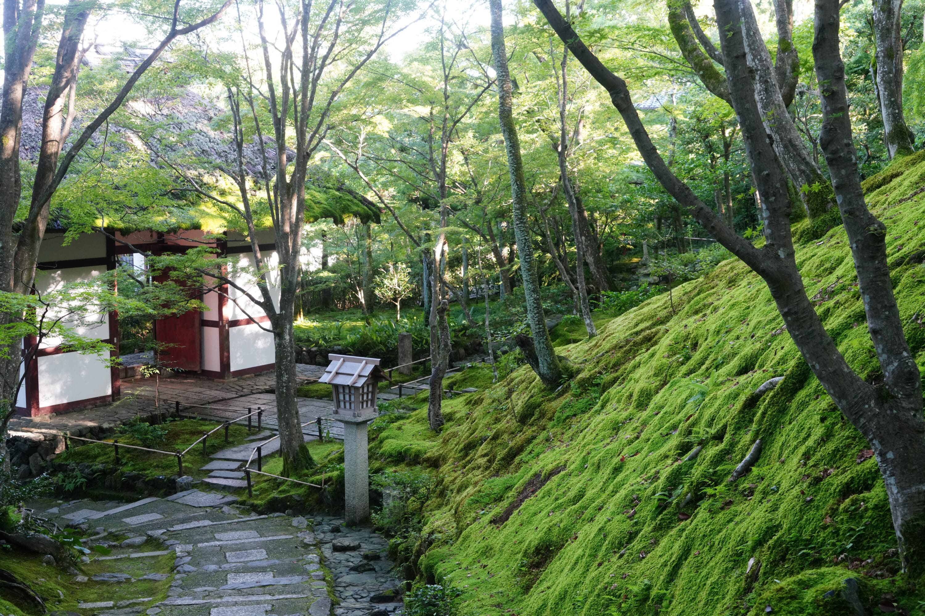 Jokkakoji Temple 