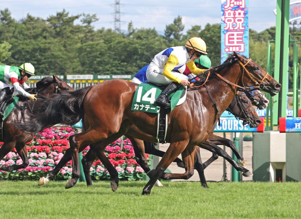 Prominent Owner/Breeder Fipke Breaks New Ground In Japan