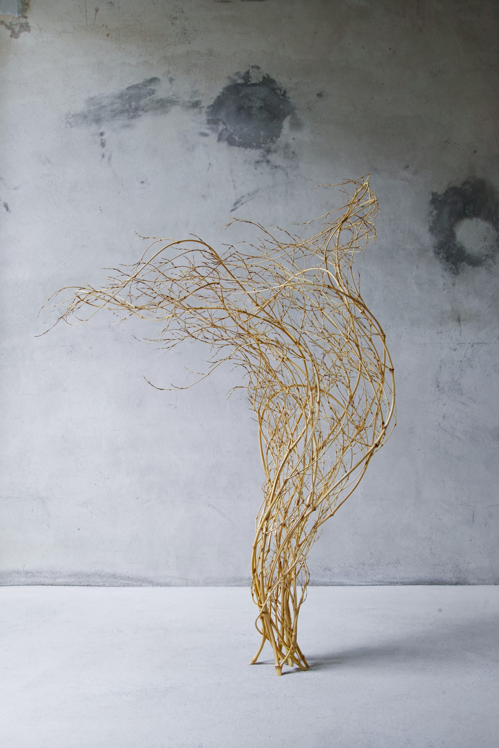 A natural branch-like sculpture against a gray wall. 