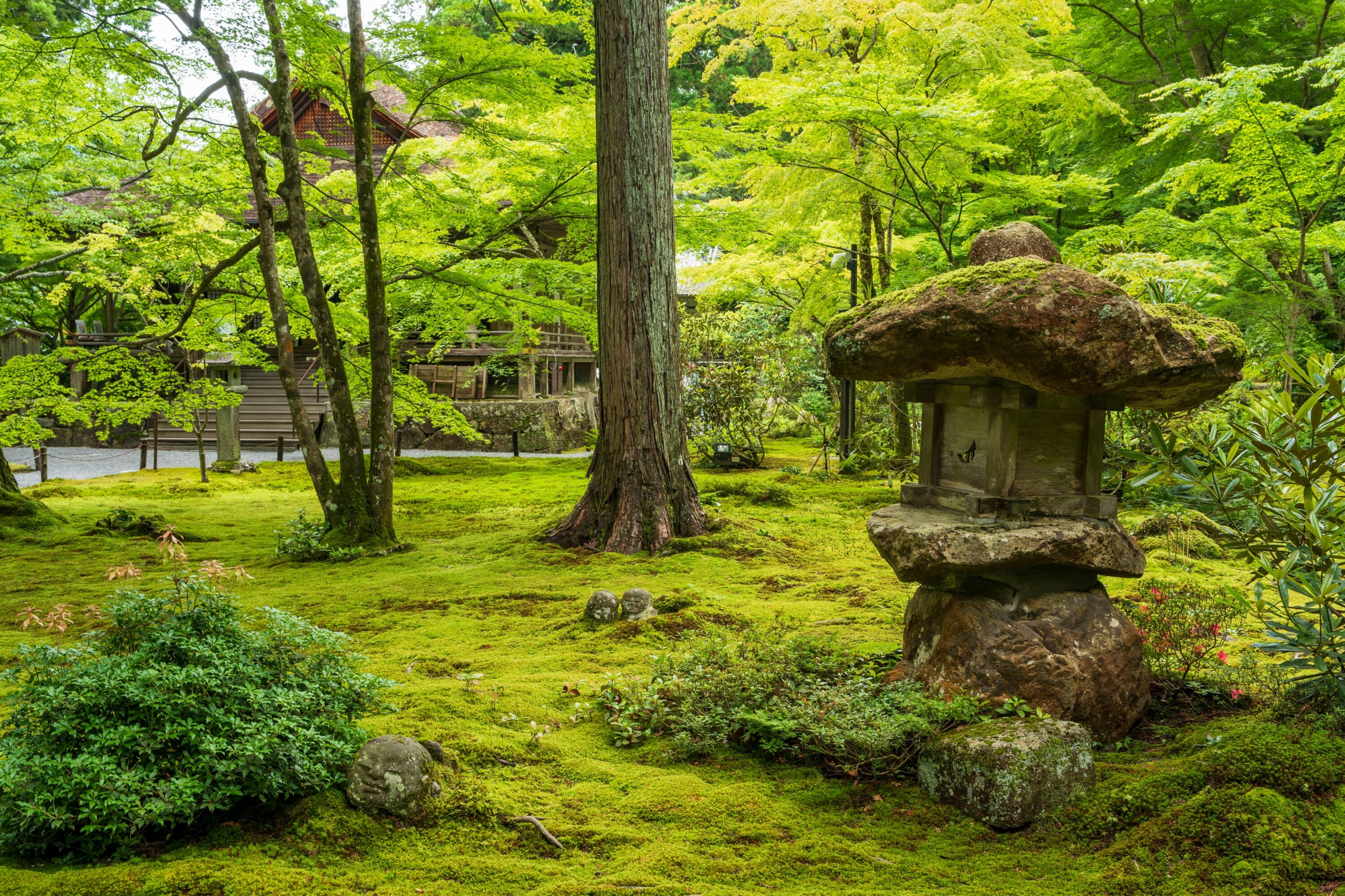 Sanzenin Temple moss passport kyoto