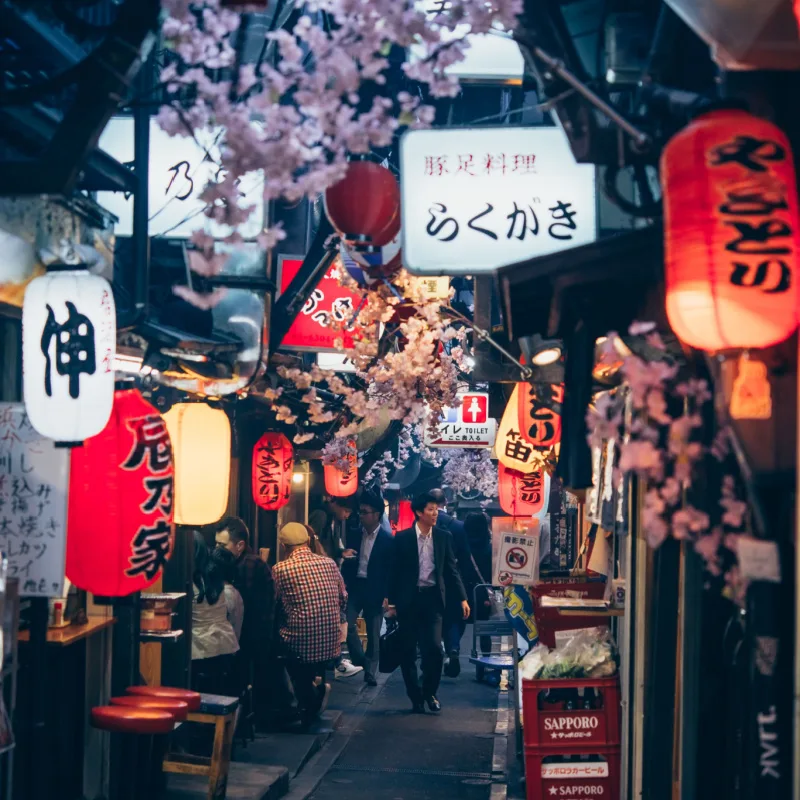 lanterns and signs light up a dark street in Tokyo