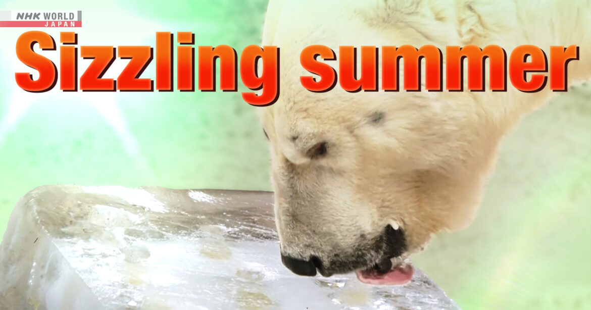 Japan's hot summer swelters on, even in Hokkaido