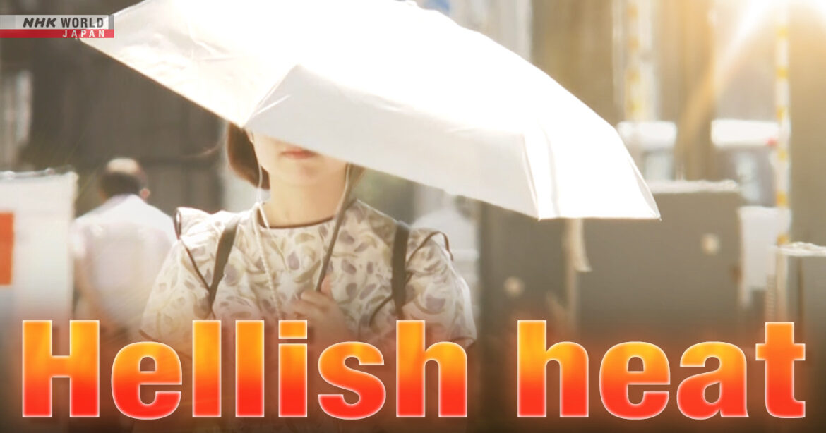 Hokkaido slammed by 39-degree Celsius heat