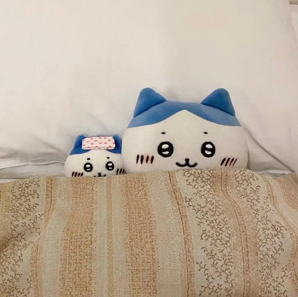 Two fluffy felines take a cat nap in one of the mini beds on offer at a hotel in Japan. Photo: QQ.com