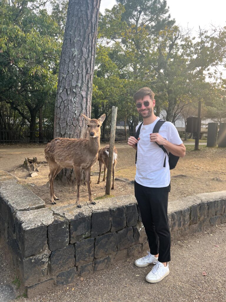 deer at nara