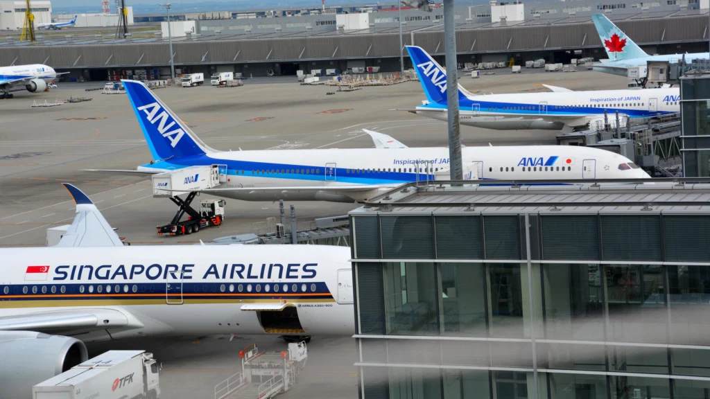 Japan Domestic Flight Deals for Tourists: JAL & ANA Discount Pass Guide