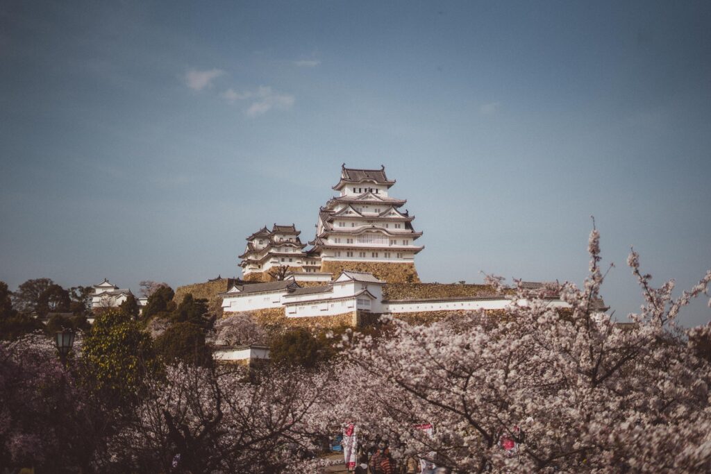 himeji blossom