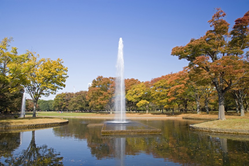 Metropolis Community Events October Yoyogi Park Fall Fundraising