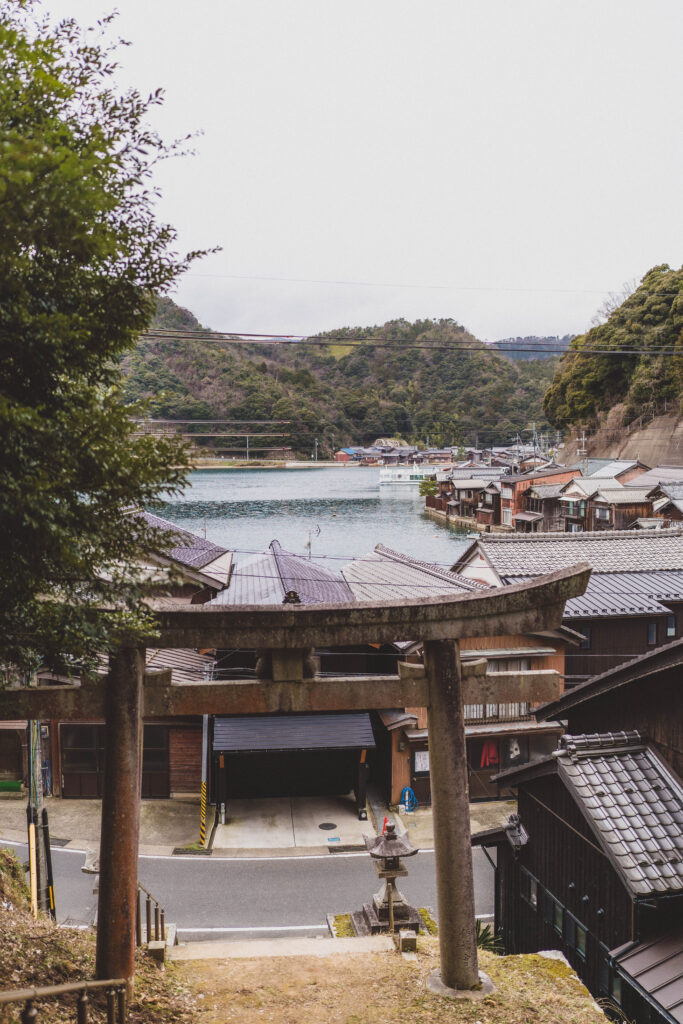 ine town view torii gate