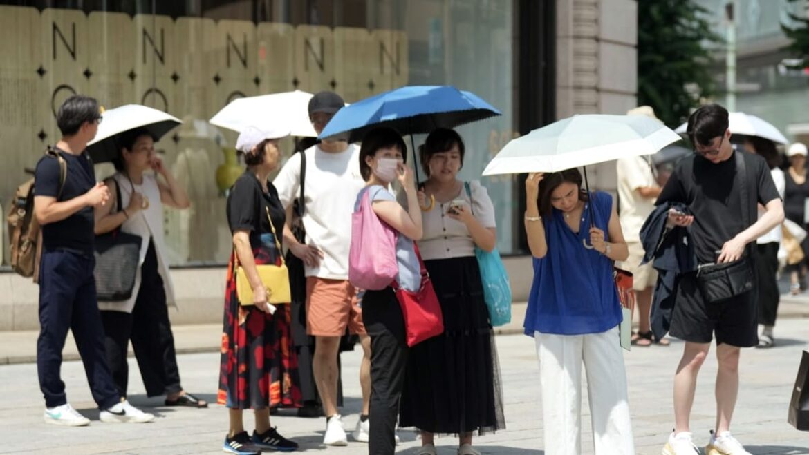 Japan's Hokkaido sizzles as heat stroke alerts issued