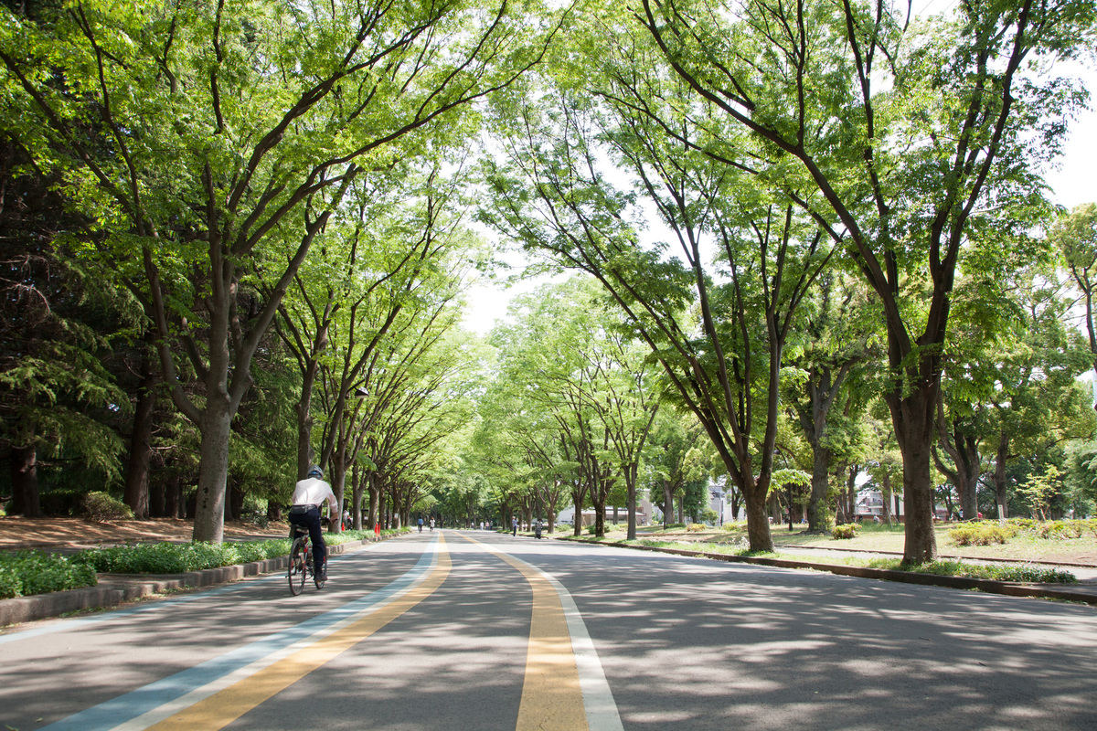 komazawa olympic park