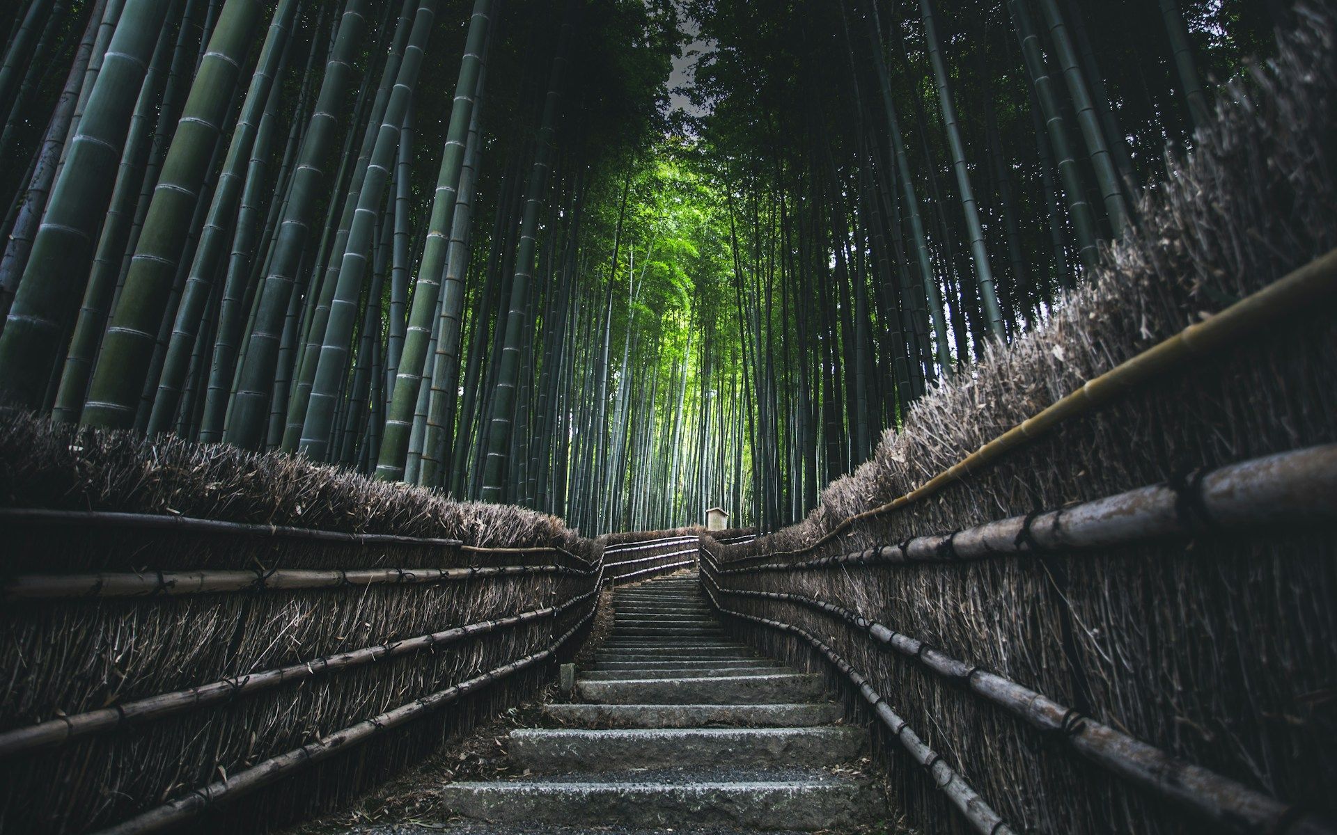 summer travel destinations - Kyoto