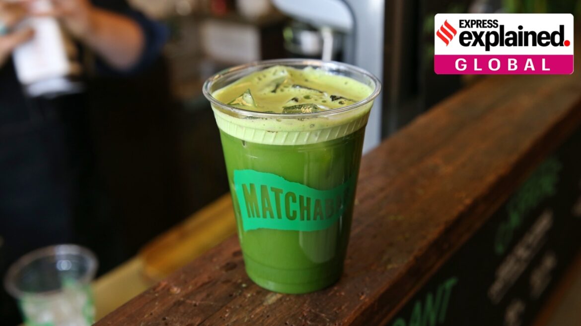 Matcha-ing the demand: Why supplies of the popular Japanese green tea can’t keep up | Explained News Matcha-ing the demand: Why supplies of the popular Japanese green tea can’t keep up | Explained News