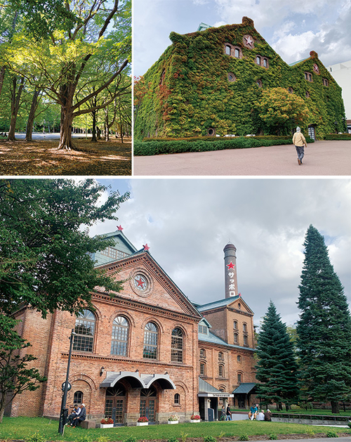 Sapporo is a forested city, a panoramic view of the Sapporo Factory, which transformed an old beer factory into a shopping mall, and a panoramic view of the Sapporo Beer Museum.