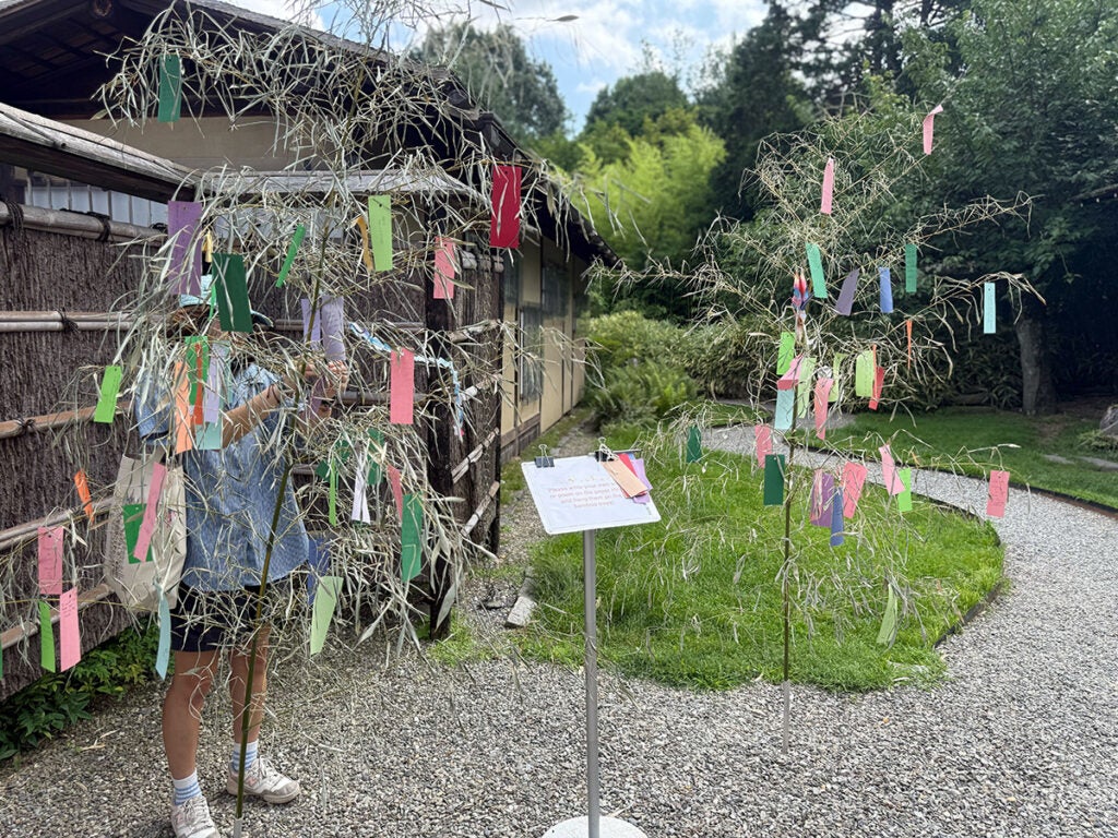 A woman hangs her written wishes on the trees, a practice of the Tanabata holiday.