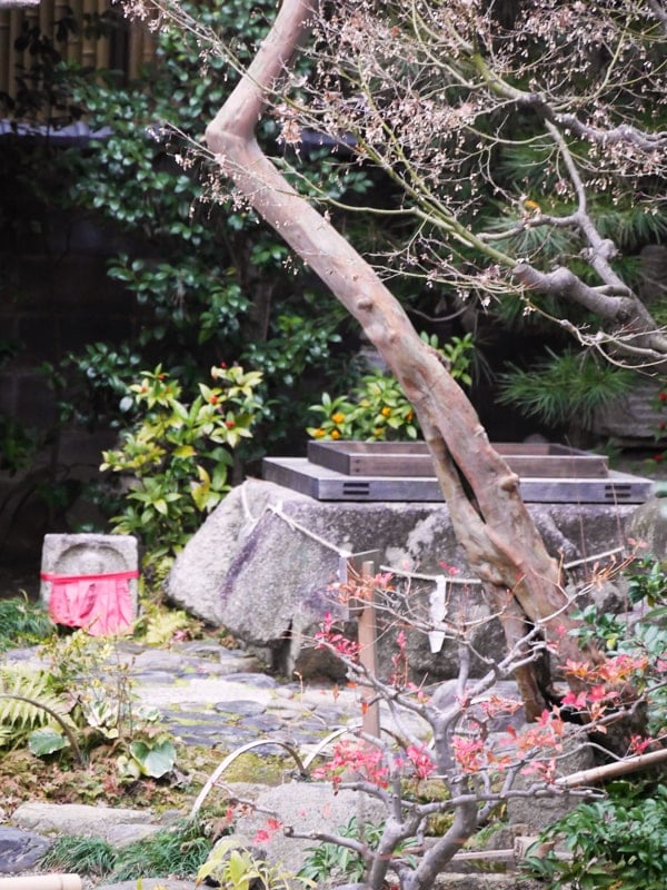 kyoto activities