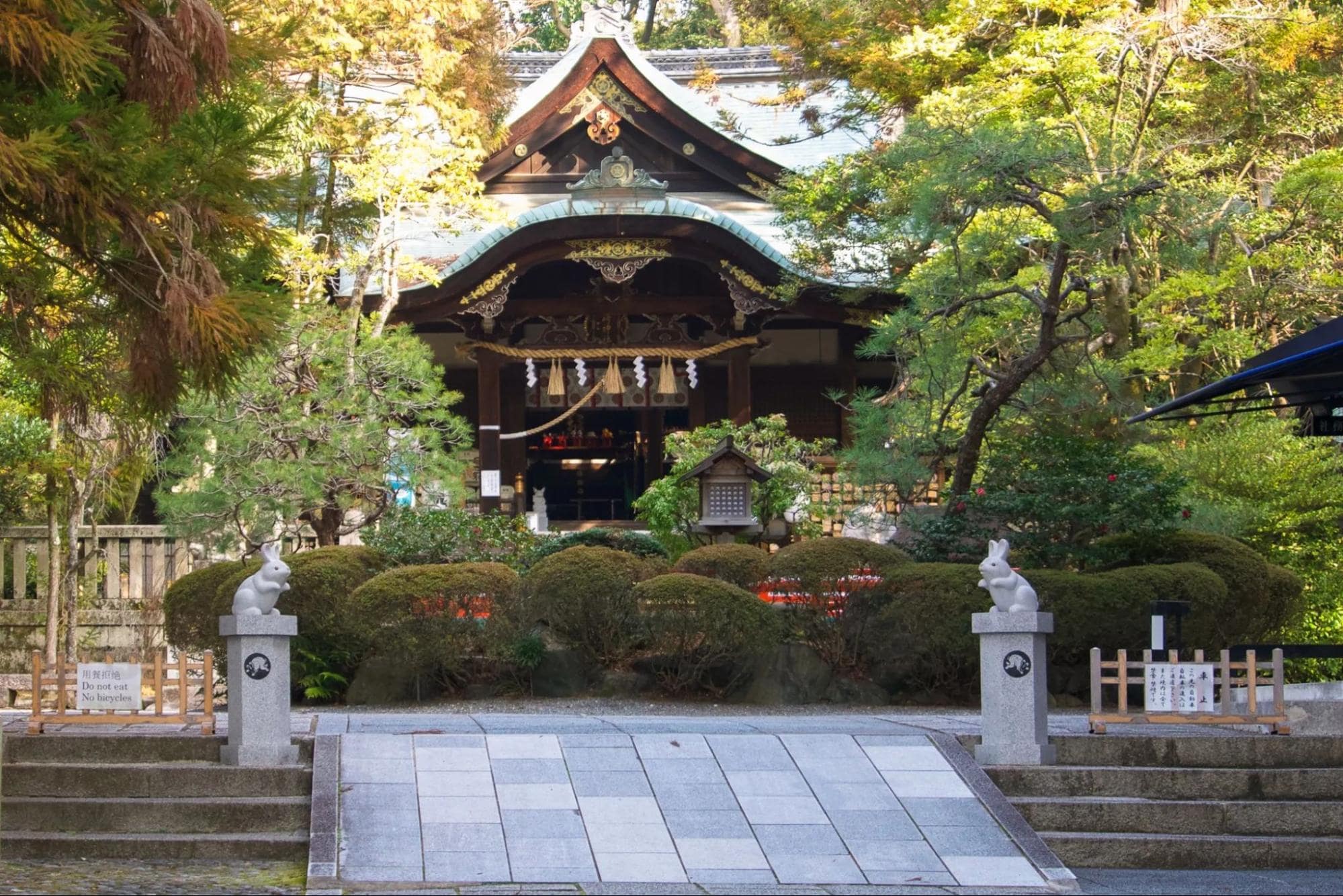 kyoto activities