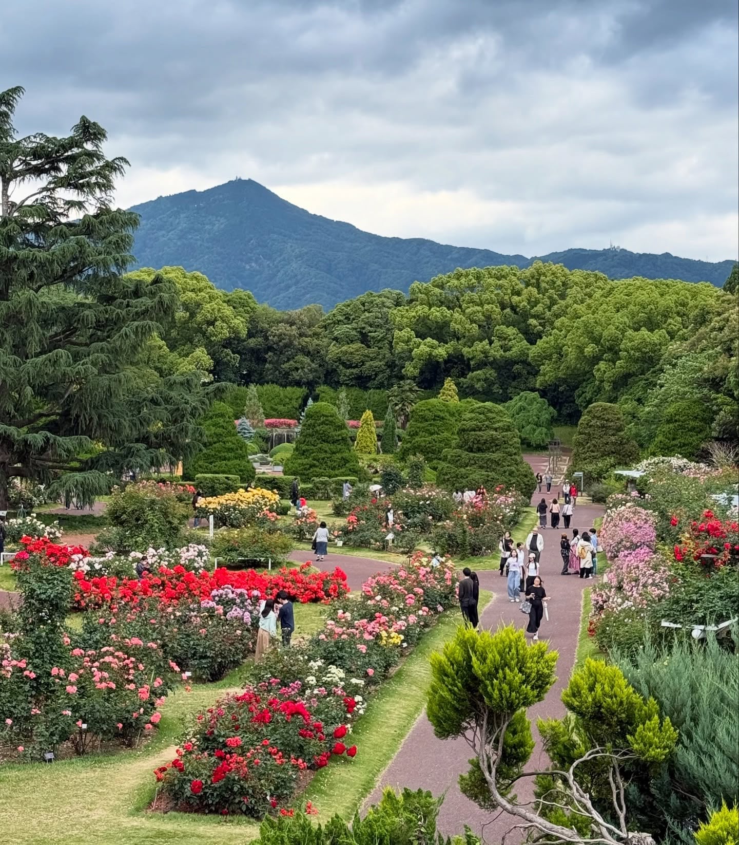 kyoto activities