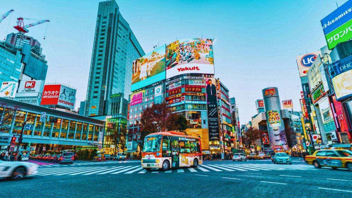 Explore The City Like A Local