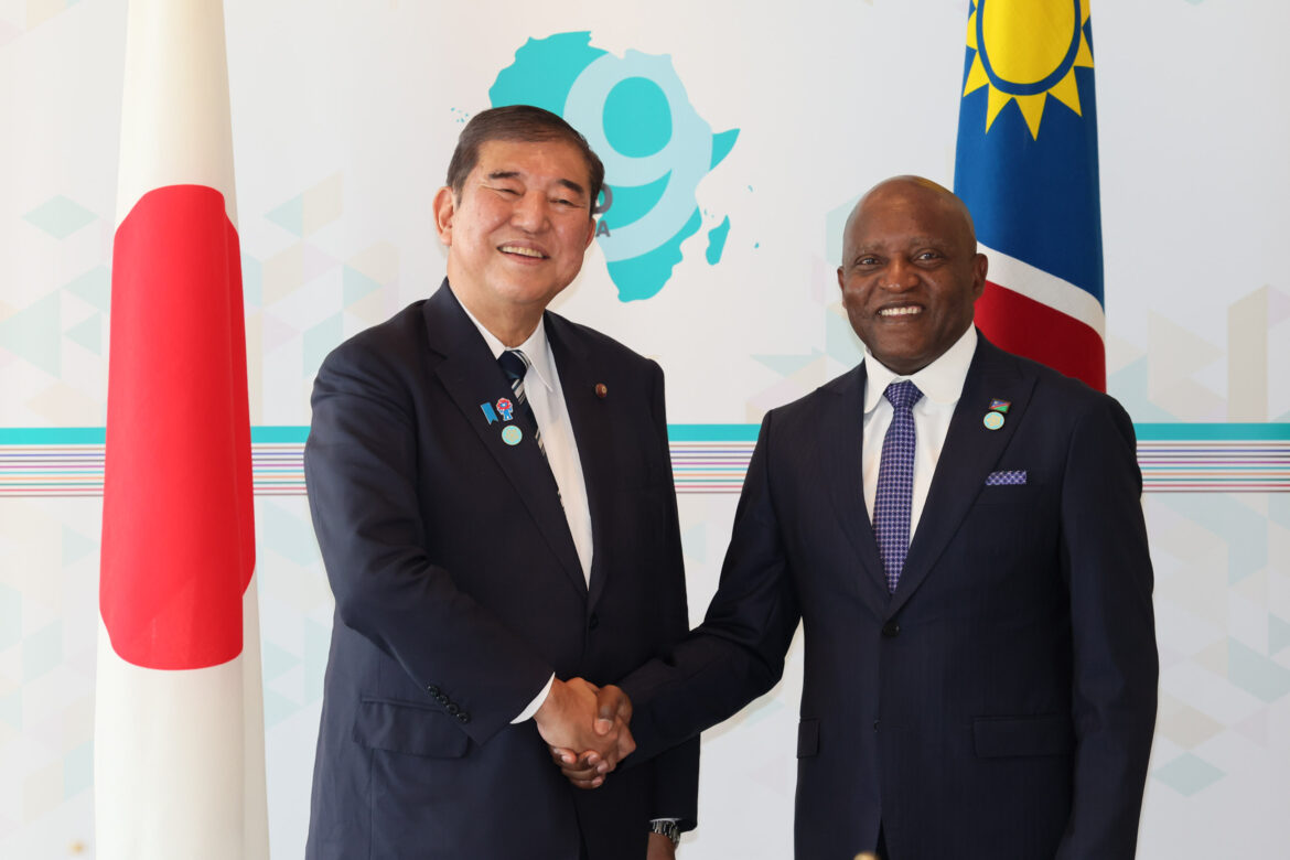 Japan-Namibia Summit Meeting (Summary) (Diplomatic Relations)