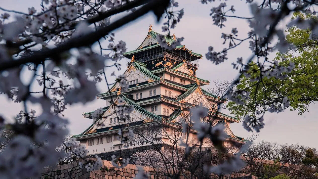 At 329700 per person this Japan tour offers excellent value for a 10-day international trip with premium inclusions