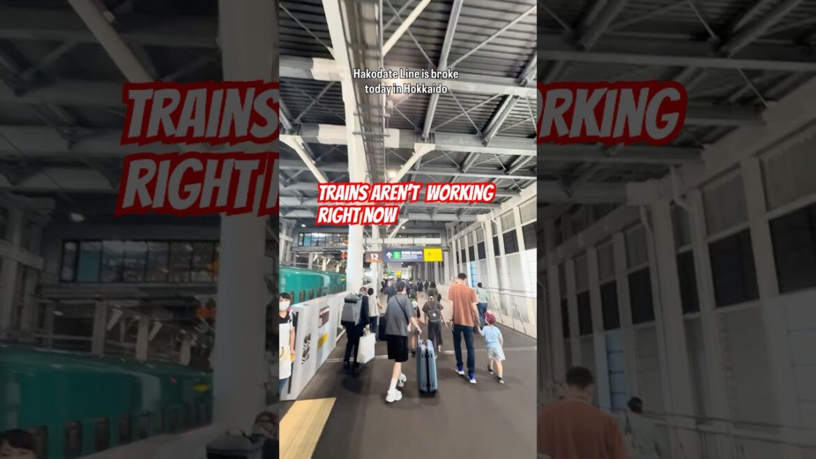 Tsunami Warning in Japan right now. 🌊Trains stopped working, get to a higher ground, 👍🏼🗾🇯🇵