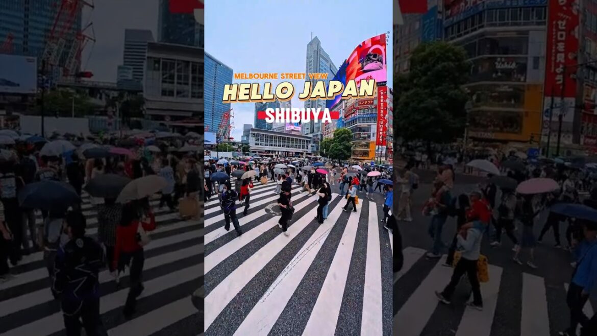 Shibuya: The Capital of Cool (And Chaos)