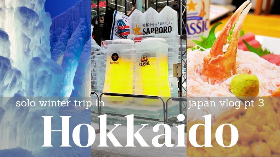 First Time Seeing Sapporoβs Snow Festival and Hidden Gem Otaru βπ | Solo Japan Vlog Part 3 First Time Seeing Sapporoβs Snow Festival and Hidden Gem Otaru βπ | Solo Japan Vlog Part 3