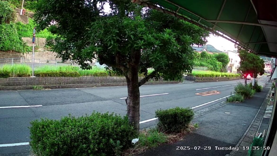 長崎県佐世保市権常寺町ライブカメラ　Nagasaki Sasebo Live camera.world.cam