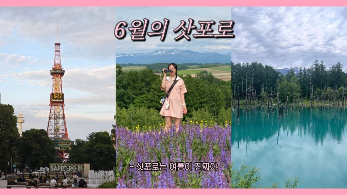 삿포로여행✈ 삿포로는 여름이 진짜야🍀 ㅣ 이번에는 삿포로다 '-' !!! 6월의 삿포로🍃☘