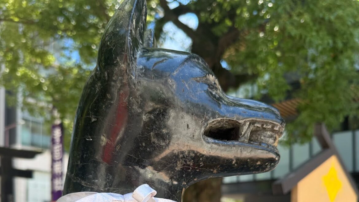 Smiling Foxes at Kego Shrine Fukuoka🇯🇵Live from Japan