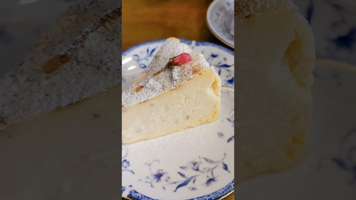 cheesecake, Shizuoka, Japan #8