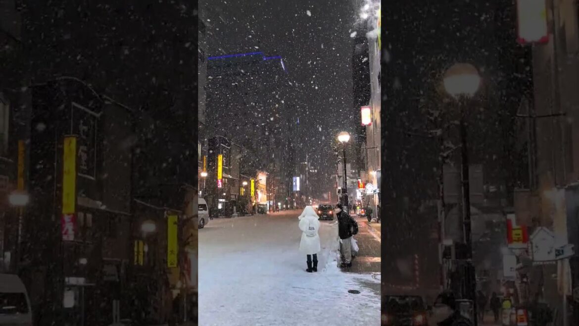 Still remember that heavy snow in Hokkaido🇯🇵 #japan #hokkaido