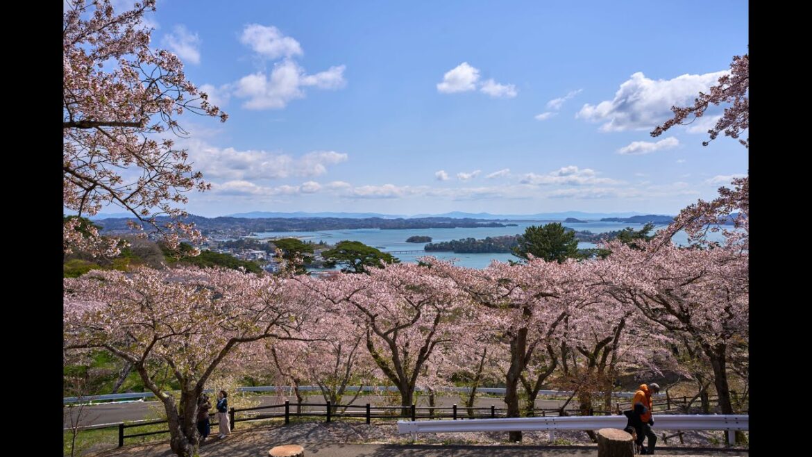 Star Wars Celebration Tokyo and Japan 2025 Tour Day 7