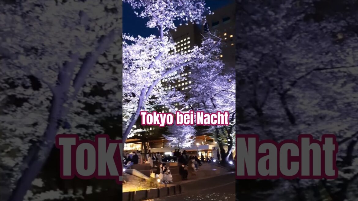 Shinjuku in #Tokyo bei Nacht (#Japan 04)