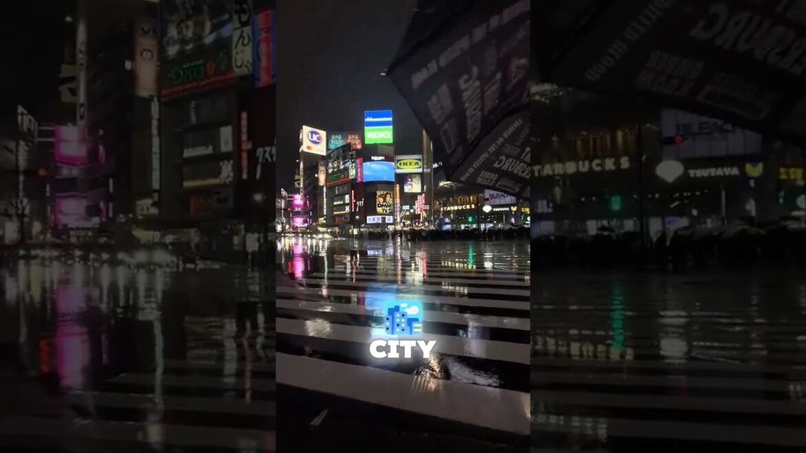 Japan's 2nd Largest City!! - Yokohama  #japan