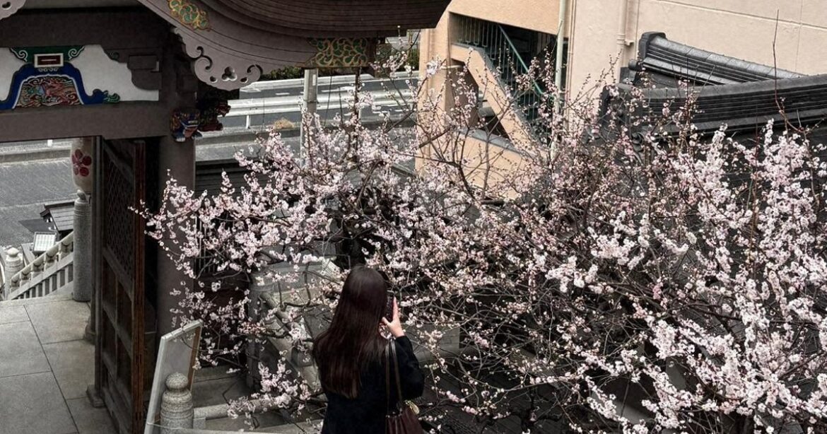 Living in Japan -- an exchange student's view: Time and seasonality (Pt. 2)