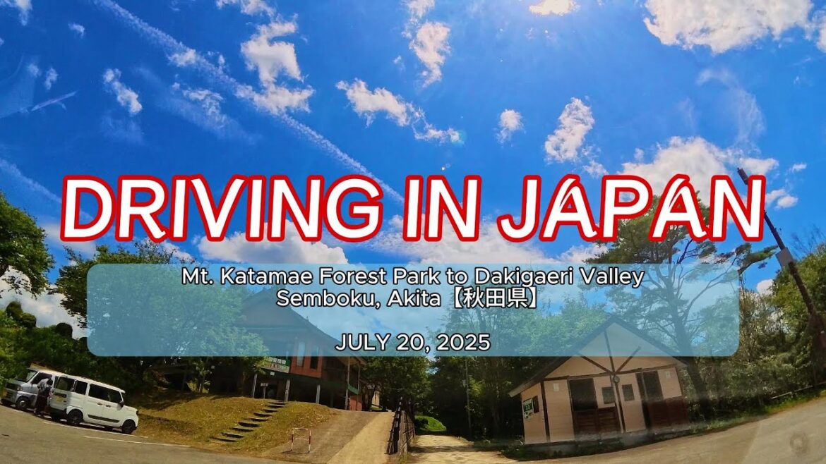 Driving in Japan | Mt. Katamae Forest Park to Dakigaeri Valley 🚗🌿