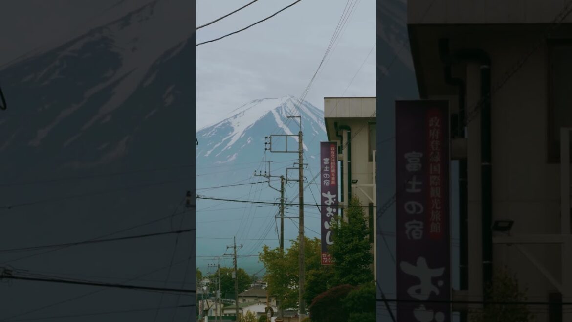 Where the Lake Meets Fuji-san 🏔️💧#mountfuji #japan #travel #kawaguchiko