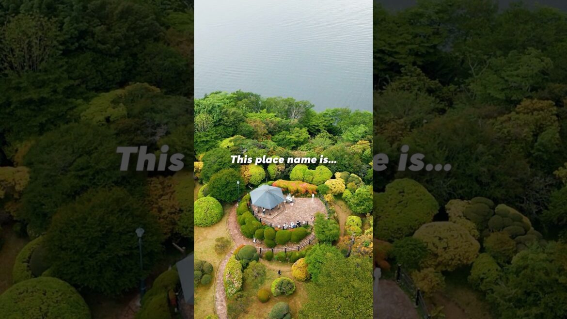 “He’s taking me to a hidden gem in Hakone.” #zen #japan #travel #hakone