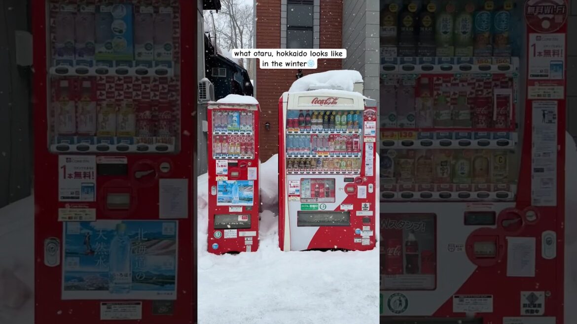 Snowy day trip to Otaru in Hokkaido, Japan! ❄️ #japan #otaru #snowfestival #hokkaido